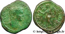 CARACALLA Diassaria