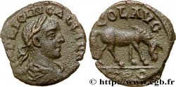 GALLIEN Triassaria