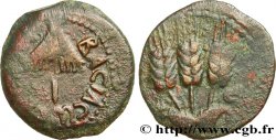 JÜDAEAN - KÖNIGREICH DER HERODIAN - AGRIPPA I Prutah