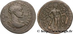MAXIMINUS I Decassaria