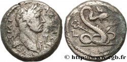 HADRIAN Tétradrachme
