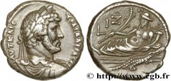 HADRIANUS Tétradrachme