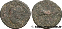 CARACALLA Hexassaria