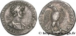 HADRIANUS Tétradrachme syro-phénicien