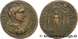 GALLIEN Decassaria