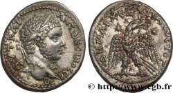 CARACALLA Tétradrachme syro-phénicien