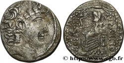 AUGUSTUS Tétradrachme syro-phénicien