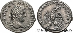 CARACALLA Tétradrachme syro-phénicien