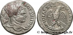 CARACALLA Tétradrachme syro-phénicien