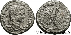 CARACALLA Tétradrachme syro-phénicien
