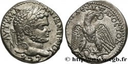 CARACALLA Tétradrachme syro-phénicien
