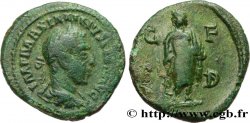 MAXIMINUS I Diassaria