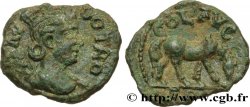TROAS - ALEXANDRIA Triassaria