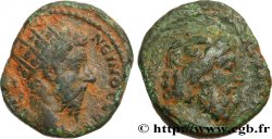 MARCUS AURELIUS Triassaria