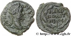SETTIMIO SEVERO Assarion