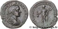 GORDIEN III Tetrassaria