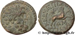 SYRIA - SELEUCIA and PIERIA - ANTIOCHIA - AUGUSTUS Bronze