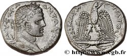 CARACALLA Tétradrachme syro-phénicien