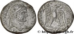 CARACALLA Tétradrachme syro-phénicien