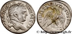 CARACALLA Tétradrachme syro-phénicien