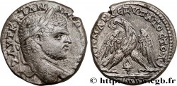CARACALLA Tétradrachme syro-phénicien