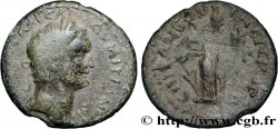 DOMITIANUS Unité