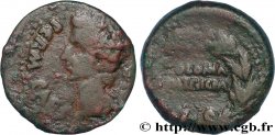 AUGUSTUS Semis