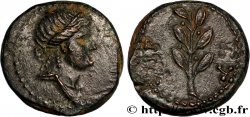 SiRIA - SELEUCIA EPIERIA - ANTIOCHIA Dichalque
