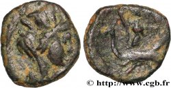 PALMYRA - PSEUDO-AUTONOMOUS ISSUE Bronze