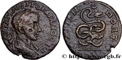 GORDIEN III Tetrassaria