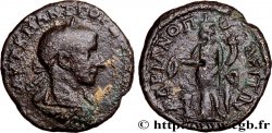 GORDIEN III Tetrassaria