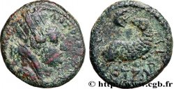 SYRIE - SÉLEUCIE ET PIÉRIE - ANTIOCHE - AUGUSTE Bronze