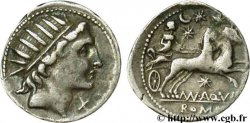 AQUILLIA Denier