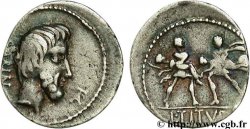 TITURIA Denier