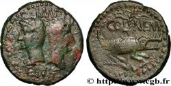 NEMAUSUS - NIMES - AUGUSTUS and AGRIPPA Dupondius COL NEM (as)