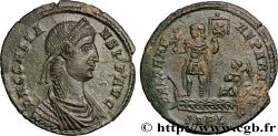 CONSTANS Maiorina