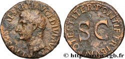 DRUSUS As
