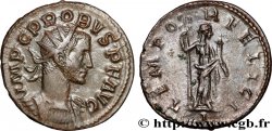 PROBUS Aurelianus