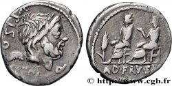 CALPURNIA Denier
