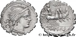 NAEVIA Denier serratus