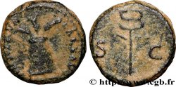 NERVA Quadrans