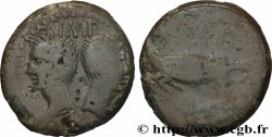 NEMAUSUS - NIMES - AUGUSTUS und AGRIPPA Dupondius COL NEM (as)