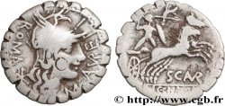 AURELIA Denier serratus