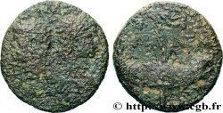 AUGUSTUS and AGRIPPA Dupondius COL NEM (as)