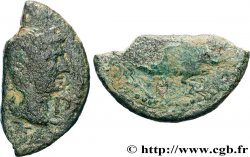 NEMAUSUS - NIMES - AUGUSTUS and AGRIPPA Dupondius COL NEM (as), coupé