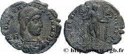 COSTANZO GALLO Maiorina