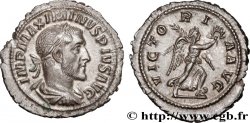MAXIMINUS I Denier