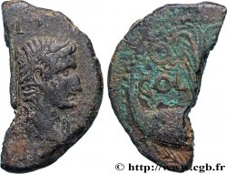 NEMAUSUS - NÎMES - AUGUSTE et AGRIPPA Dupondius COL NEM (as), coupé