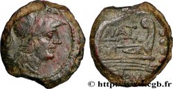 PINARIA Triens frappé