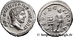 CARACALLA Denier